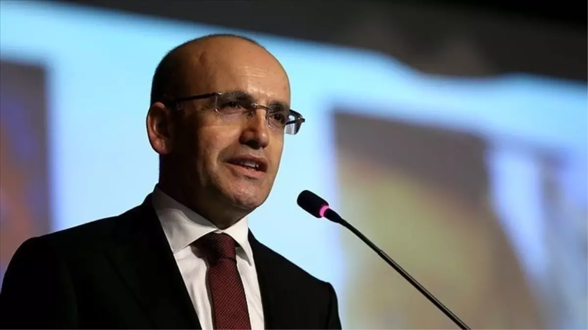 Mehmet Şimşek kimdir? Hazine ve Maliye Bakanı Mehmet Şimşek kaç yaşında, aslen nereli?