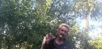 Edirne'de Amatör Balıkçıdan Dev Gümüş Sazan