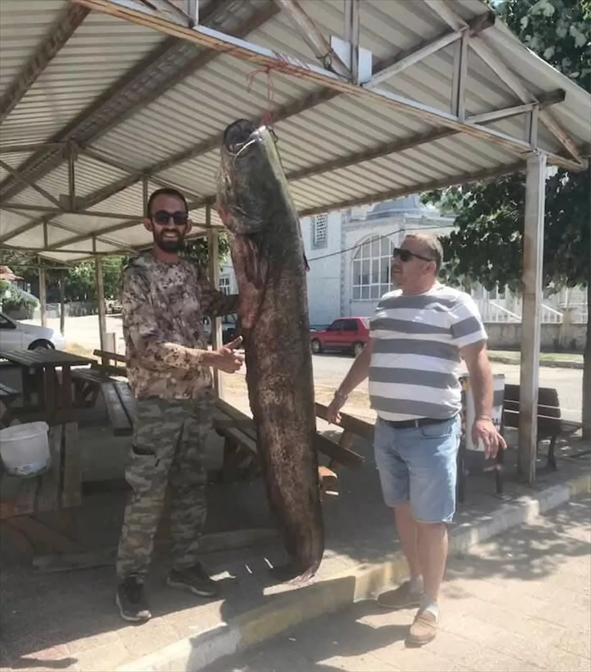 Edirne'de 80 Kilogramlık Dev Yayın Balığı Yakalandı