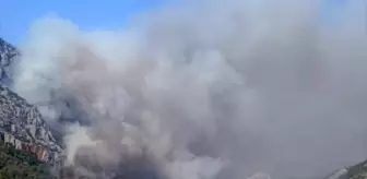 Mersin Anamur'da Orman Yangınına Havadar ve Karadan Müdahale