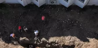 Mersin'de Fin Balinasının İskeleti İçin Kazı Çalışmasına Başlandı