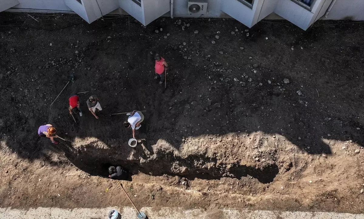 Mersin'de Fin Balinasının İskeleti İçin Kazı Çalışmasına Başlandı