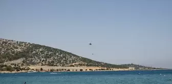 Mersin Silifke'de Ağaçlık Alanda Yangın Çıktı