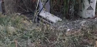 Mersin Tarsus'ta İtfaiye Ekipleri Çukura Düşen Yavru Köpeği Kurtardı