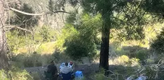 Mersin'de Yasak Ormanlık Alanda Piknik Yapan 4 Kişiye Para Cezası