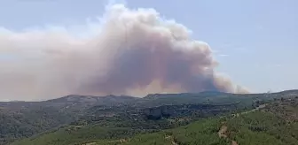 Silifke'de Orman Yangınına Hava ve Kara Müdahalesi
