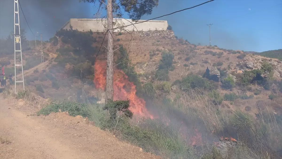 Mersin'de Otluk Alanda Çıkan Yangın Kontrol Altına Alındı