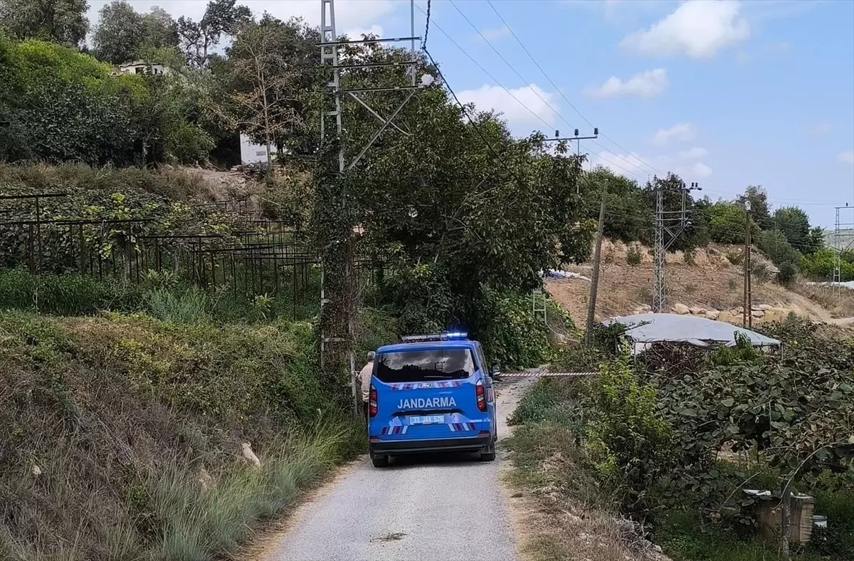 Mersin'de Trafik Kazası: 1 Ölü, 2 Yaralı