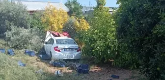 Mersin'de Zeytin Toplayan İşçilere Otomobil Çarptı: 1 Ölü, 3 Yaralı