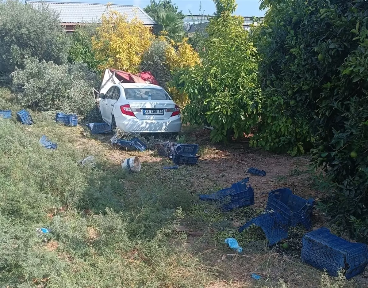 Mersin'de Zeytin Toplayan İşçilere Otomobil Çarptı: 1 Ölü, 3 Yaralı