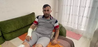 Sahipsiz Köpeklerin Saldırısına Uğrayan Yürücü Yaralandı