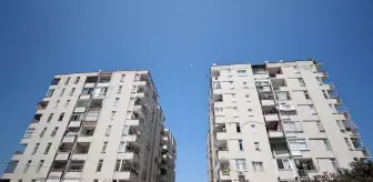 Mersin'de Maymun Sakinlerin Tedirginliğine Neden Oluyor