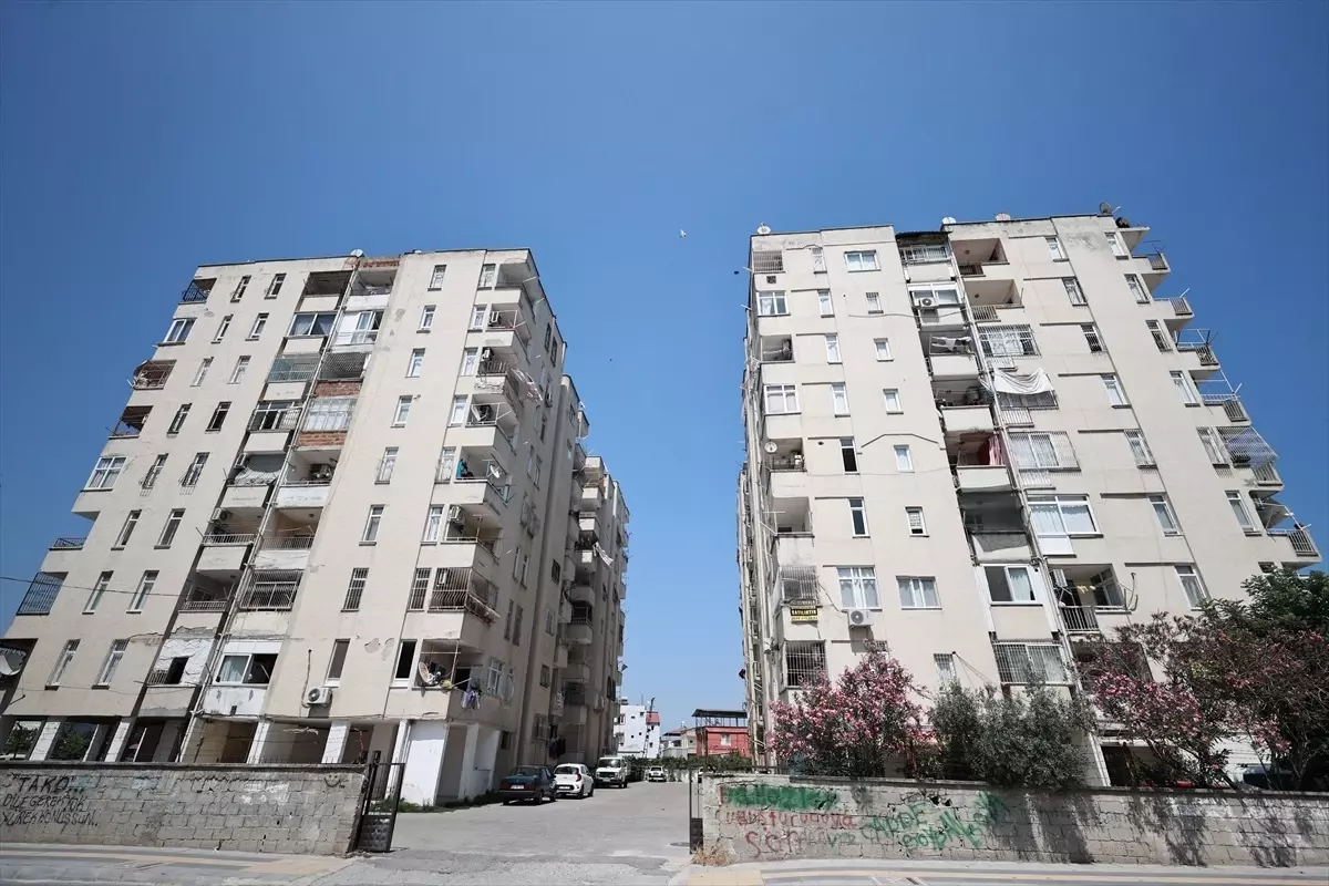 Mersin'de Maymun Sakinlerin Tedirginliğine Neden Oluyor