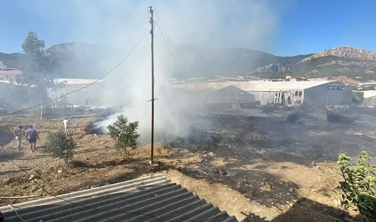 Mersin'de Elektrik Teli Yangına Sebep Oldu
