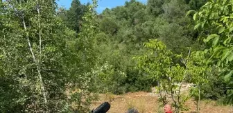 Mersin'de Otomobil Uçuruma Devrildi: 5 Yaralı