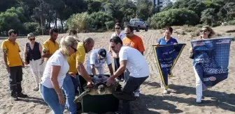 Mersin'de Uydu Takip Cihazı ile İzlenecek Yeşil Deniz Kaplumbağası ‘Alata’ Denize Bırakıldı