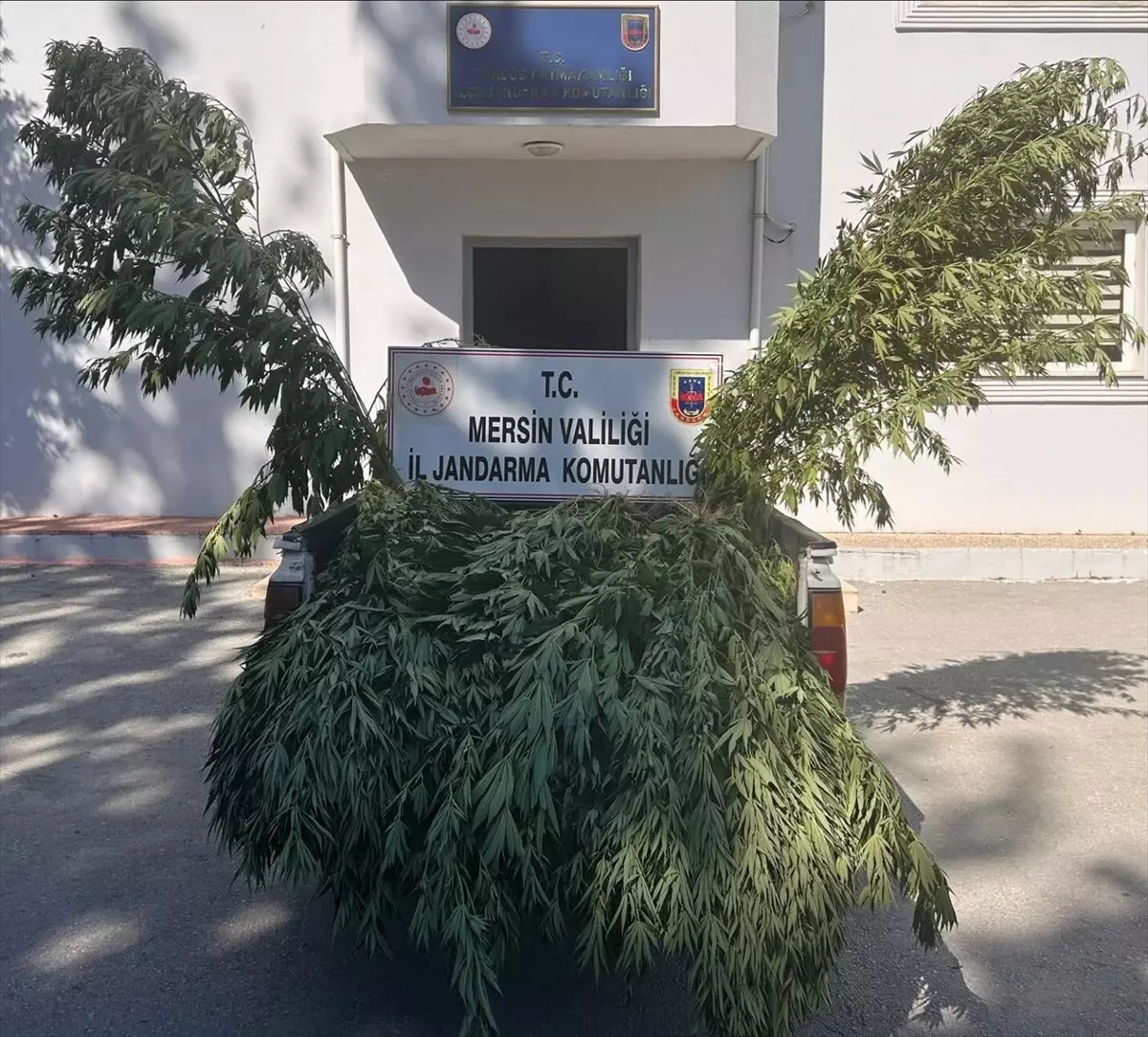 Mersin'de Uyuşturucu Operasyonu: 8 Gözaltı
