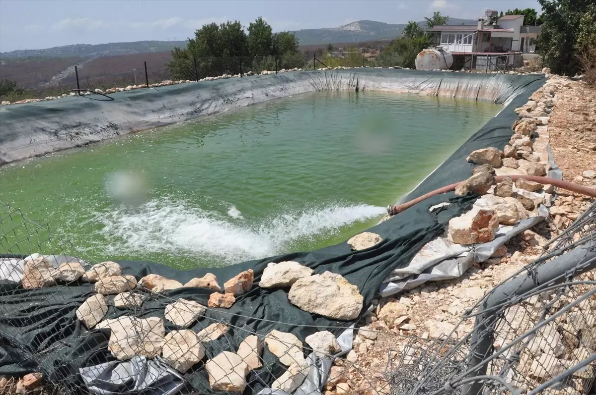 Silifke'deki Orman Yangını Sonrası Bahçe Havuzları Yeniden Dolduruluyor