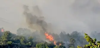 Mersin'de Orman Yangınına Hava ve Karadan Müdahale