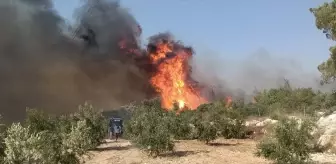 Mersin'de Orman Yangınına Hava ve Karadan Müdahale