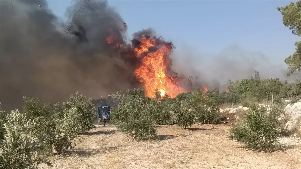 Mersin'de Orman Yangınına Hava ve Karadan Müdahale