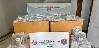 Mersin Limanı'nda 587 Kilogram Esrar Ele Geçirildi