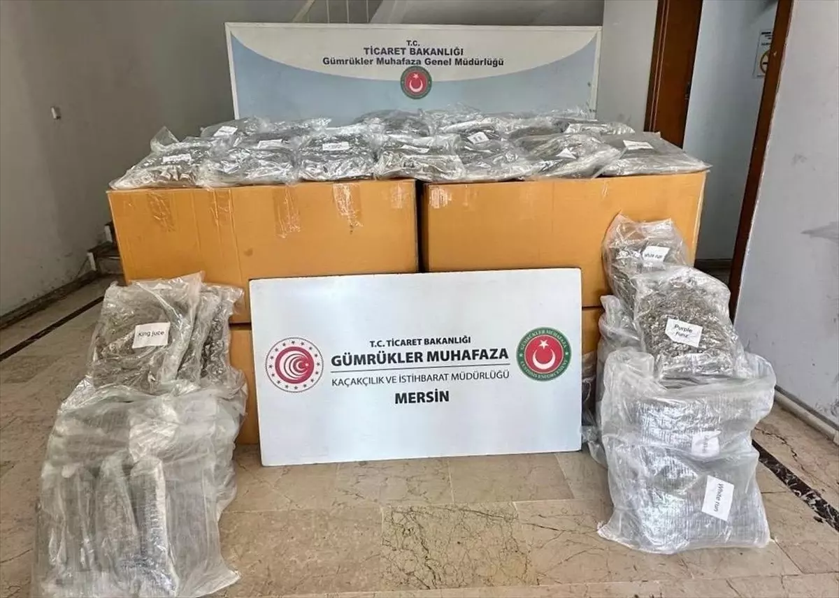 Mersin Limanı'nda 587 Kilogram Esrar Ele Geçirildi