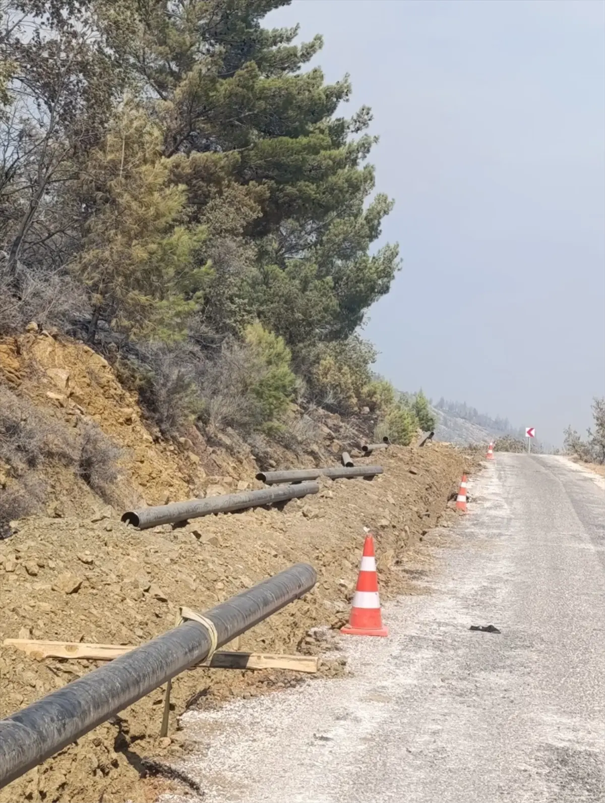 Silifke Orman Yangını: 4 Şüpheli Tutuklandı