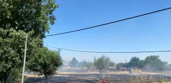 Amasya'da Tarım Arazisinde Yangın Kontrol Altına Alındı