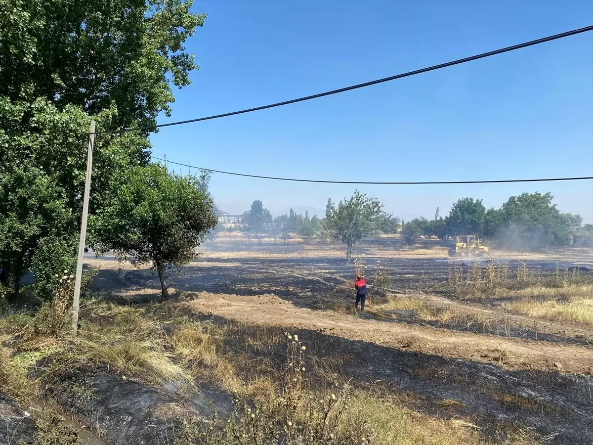 Amasya'da Tarım Arazisinde Yangın Kontrol Altına Alındı