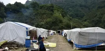 Mevsimlik Tarım İşçileri Fındık Hasadı İçin Ordu'ya Geldi