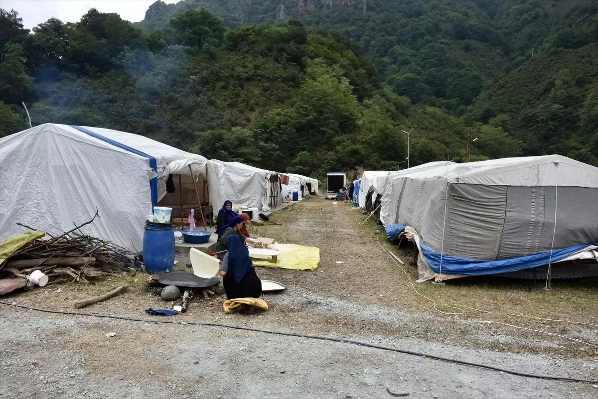 Mevsimlik Tarım İşçileri Fındık Hasadı İçin Ordu'ya Geldi