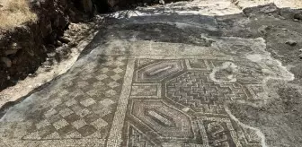 Diyarbakır'da Geç Roma-Erken Bizans Dönemine Ait Mozaik Bulundu