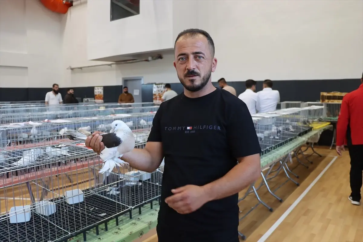 Midyat Musul Güvercin Festivali'nde Ödüller Sahiplerini Buldu