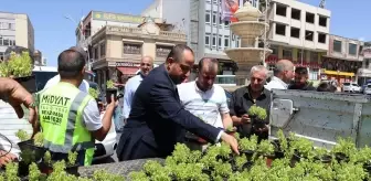 Midyat'ta vatandaşlara fesleğen ve reyhan çiçeği dağıtıldı
