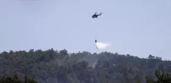 Muğla'da Çıkan Orman Yangını Kontrol Altına Alındı