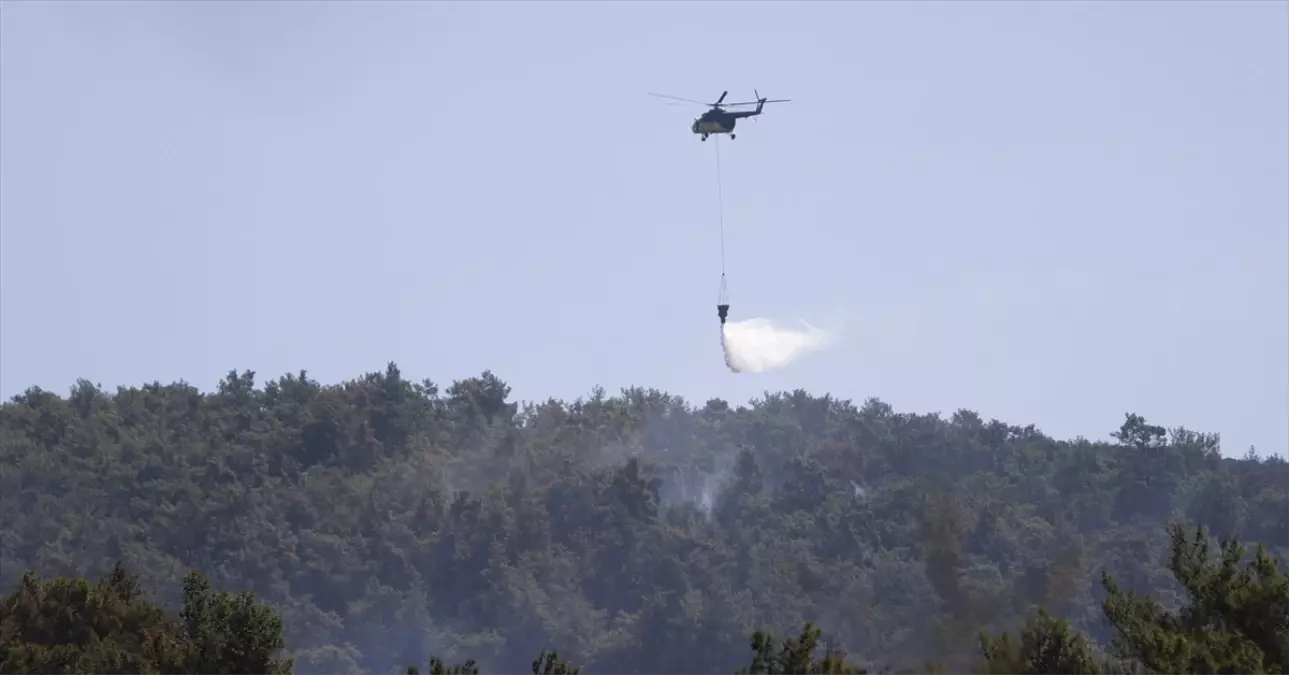 Muğla'da Çıkan Orman Yangını Kontrol Altına Alındı