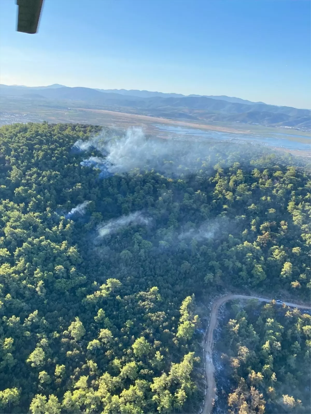 Muğla'da Orman Yangınına Hava ve Karadan Müdahale Devam Ediyor