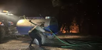 Muğla'nın Milas İlçesinde Orman Yangınına Müdahale