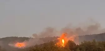 Muğla'da Orman Yangınına Müdahale Devam Ediyor