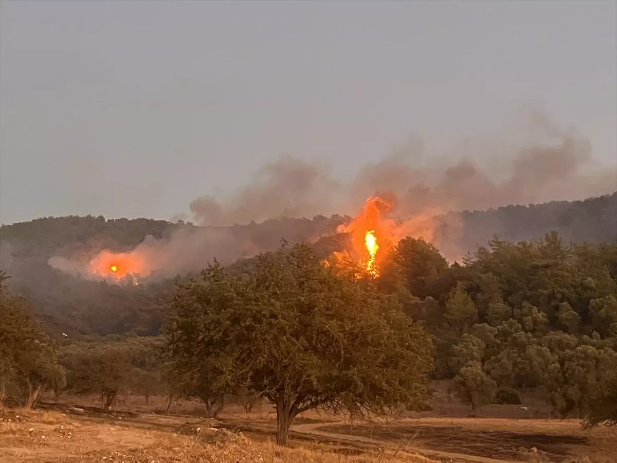 Muğla'da Orman Yangınına Müdahale Devam Ediyor