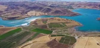 Şanlıurfalı Arkadaşlar Elazığ'da 6 Bin Dönüm Araziyi Tarıma Kazandırdı