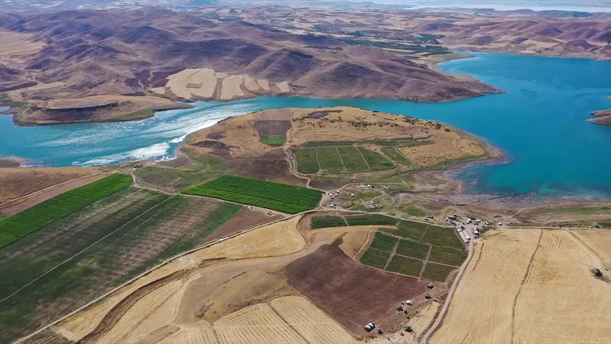 Şanlıurfalı Arkadaşlar Elazığ'da 6 Bin Dönüm Araziyi Tarıma Kazandırdı