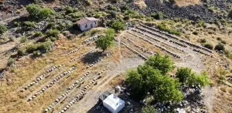 25 Yılda 3 Kova Arıdan 400 Kovana: Selahattin Ayvaz'ın Başarı Hikayesi