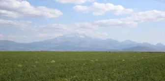 Kayseri, Türkiye'de Tarımsal Üretimde Öne Çıkıyor