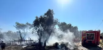Muğla'da Ahırda Yangın: 14 Küçükbaş Hayvan Telef Oldu