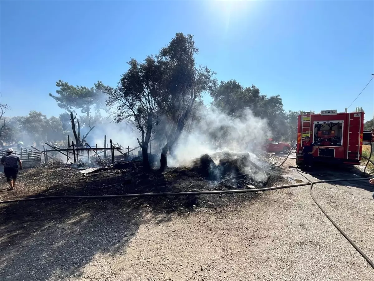 Muğla'da Ahırda Yangın: 14 Küçükbaş Hayvan Telef Oldu