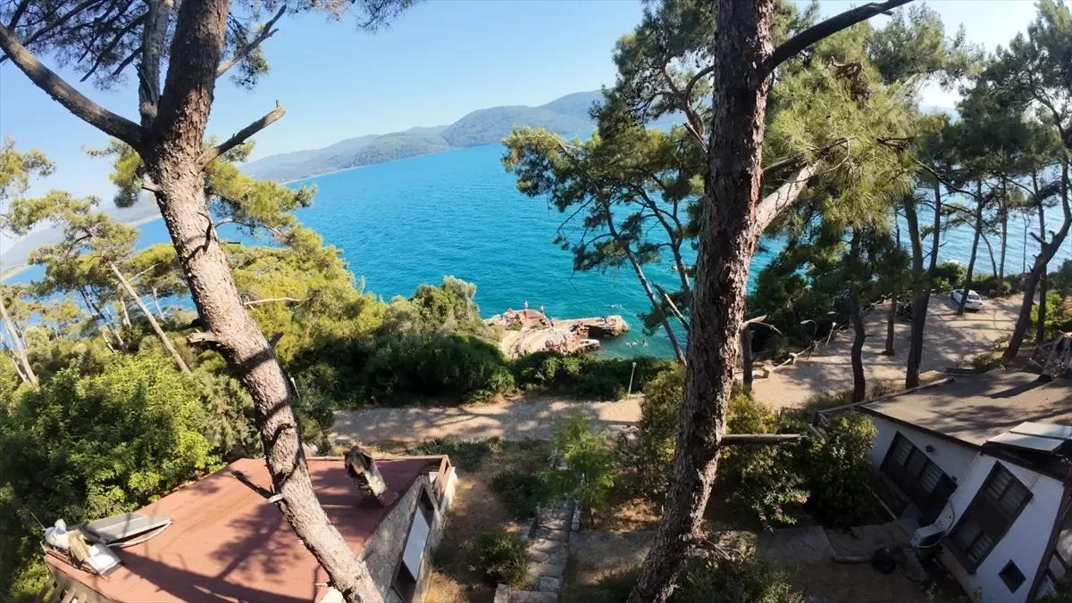 Akyaka Orman Kampı'na Yoğun İlgi