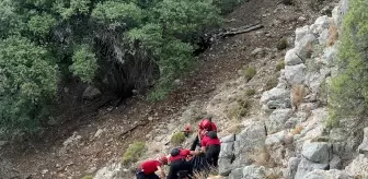 Likya Yolu'nda Avustralyalı Turist Ölü Bulundu