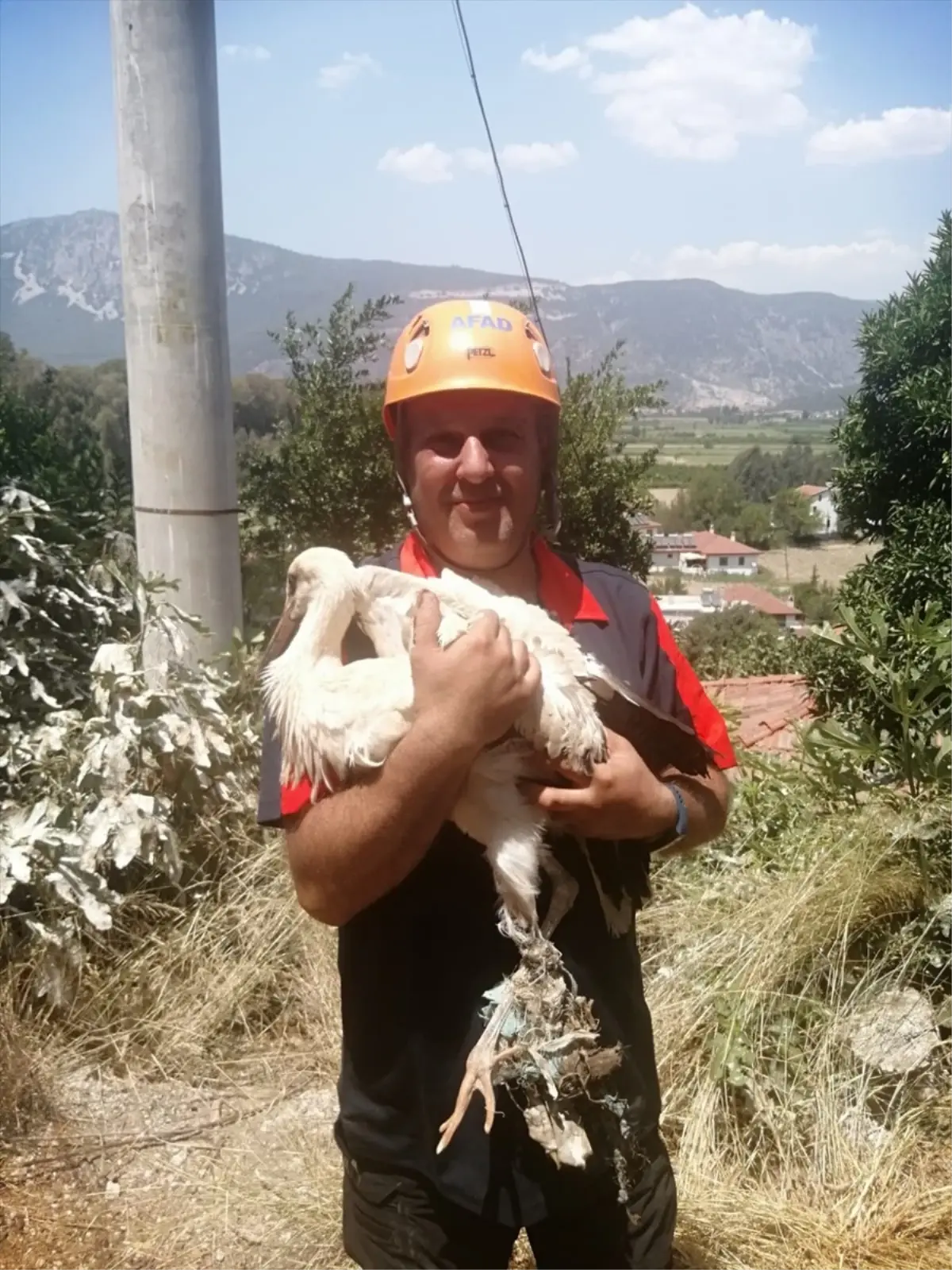 Muğla'da Ayağı Kırılan Leylek Kurtarıldı